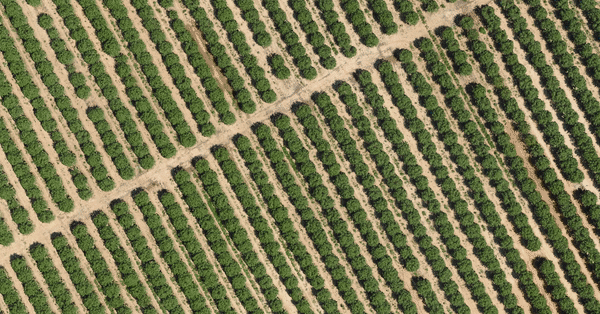 Aerial LiDAR