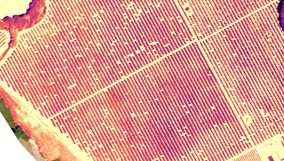 Thermal