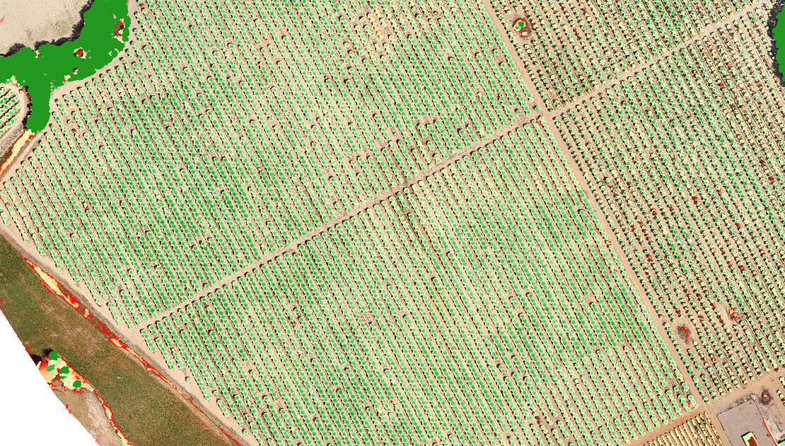OrthoImagery