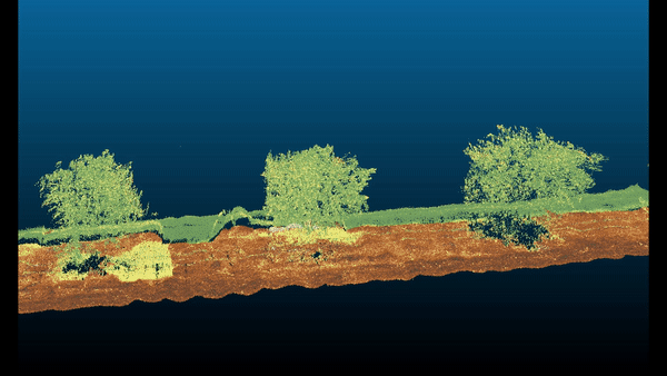 Terrestrial LiDAR